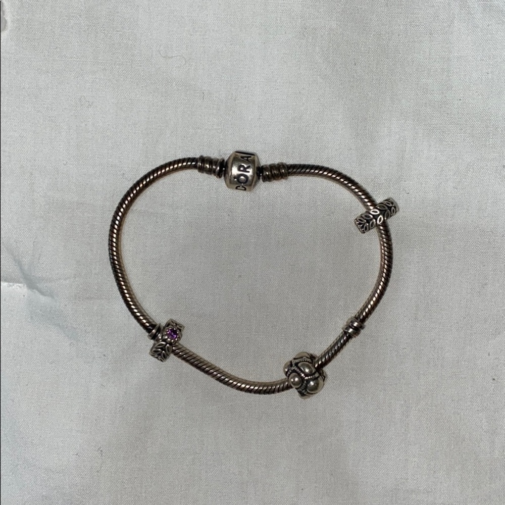 Pandora bracelet and Pandora charms